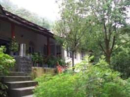 Buyers Guide to Green Homes in India