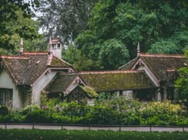 7 Horrible Damages that MOSS Causes to Your Roof