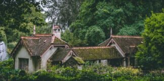 7 Horrible Damages that MOSS Causes to Your Roof