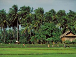 Land in the Philippines